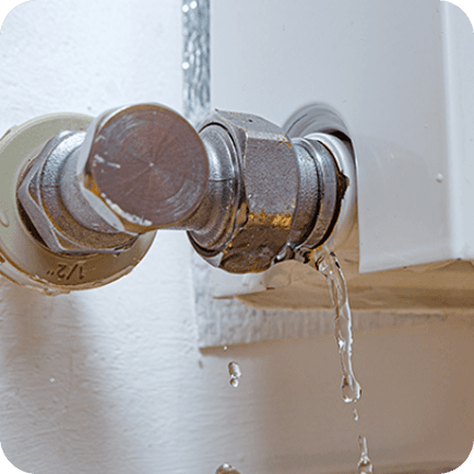 Leaking Toilet